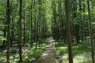 3006 Novak Terrace, Burtonsville, MD 20866 - Photo 67