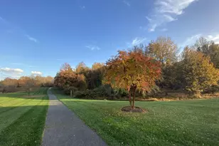 3006 Novak Terrace, Burtonsville, MD 20866 - Photo 65