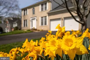 3006 Novak Terrace, Burtonsville, MD 20866 - Photo 37