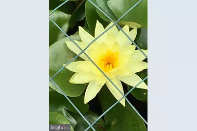 3006 Novak Terrace, Burtonsville, MD 20866 - Photo 59