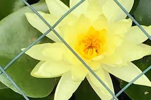 3006 Novak Terrace, Burtonsville, MD 20866 - Photo 59