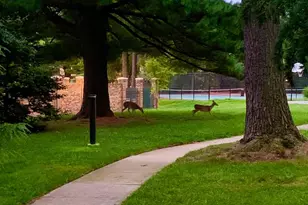 11315 Commonwealth Dr, Rockville, MD 20852 - Photo 15