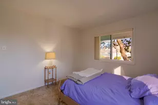 13820 Arctic Ave, Rockville, MD 20853 - Photo 29