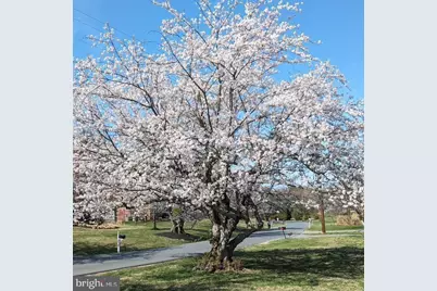 3713 King William Drive, Olney, MD 20832 - Photo 7