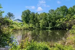 3749 Castle Terrace, Silver Spring, MD 20904 - Photo 41