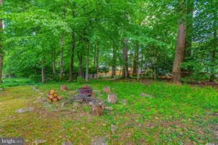 14412 Oakvale St, Rockville, MD 20853 - Photo 39