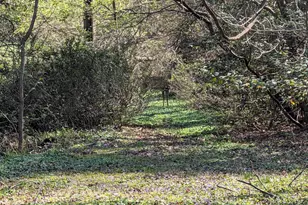 523 Copley Ln, Silver Spring, MD 20904 - Photo 19