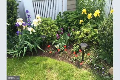 2712 Linden Lane, Silver Spring, MD 20910 - Photo 25