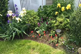 2712 Linden Ln, Silver Spring, MD 20910 - Photo 25