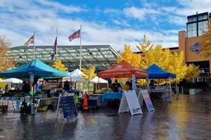 8802 2nd Ave, Silver Spring, MD 20910 - Photo 59