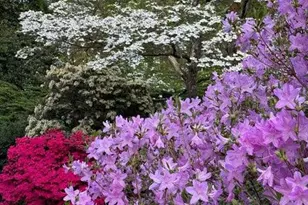 16617 Killdeer Dr, Rockville, MD 20855 - Photo 63