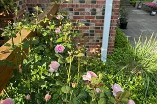 16617 Killdeer Dr, Rockville, MD 20855 - Photo 61