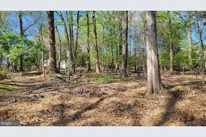 302 New Mark Esplanade, Rockville, MD 20850 - Photo 3