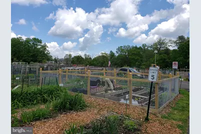 15115 Interlachen Drive #3-515, Silver Spring, MD 20906 - Photo 25