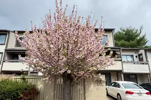 18118 Kilrush Ct, Montgomery Village, MD 20886 - Photo 3