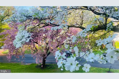 7515 Cayuga Avenue, Bethesda, MD 20817 - Photo 41