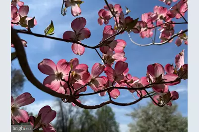 12929 Esworthy Road, North Potomac, MD 20878 - Photo 5