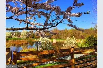 14008 Loblolly Terrace, Rockville, MD 20850 - Photo 31