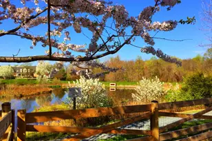 14008 Loblolly Terrace, Rockville, MD 20850 - Photo 31