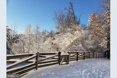 14008 Loblolly Terrace, Rockville, MD 20850 - Photo 25