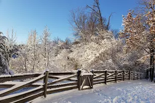14008 Loblolly Terrace, Rockville, MD 20850 - Photo 25