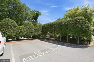 8308 Flower Ave, Takoma Park, MD 20912 - Photo 25