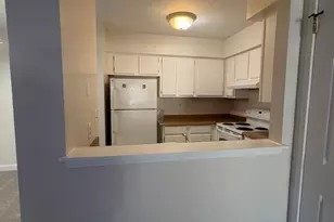 4118 Peppertree Ln, Silver Spring, MD 20906 - Photo 3