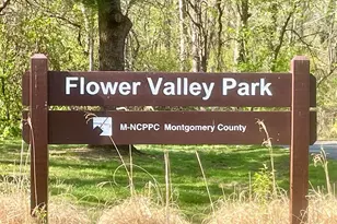 15309 Hannans Way, Rockville, MD 20853 - Photo 29