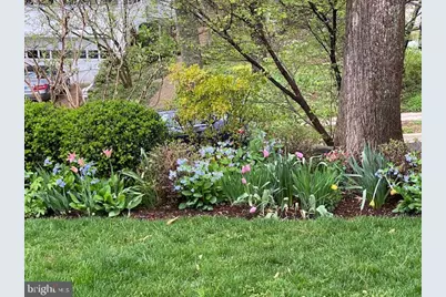 7109 Meadow Lane, Chevy Chase, MD 20815 - Photo 17