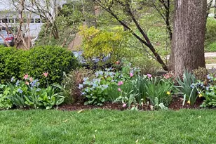 7109 Meadow Ln, Chevy Chase, MD 20815 - Photo 17