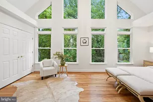 705 Elm Ave, Takoma Park, MD 20912 - Photo 19