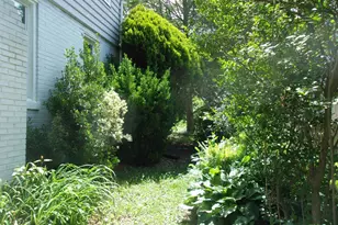 25 Maryland Ave, Gaithersburg, MD 20877 - Photo 73