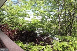 160 Talbott St, Rockville, MD 20852 - Photo 21