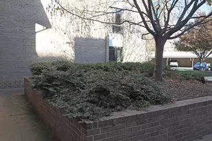 10 Monroe St, Rockville, MD 20850 - Photo 17