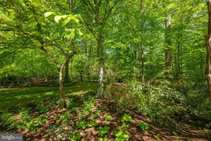 7019 Armat Dr, Bethesda, MD 20817 - Photo 31
