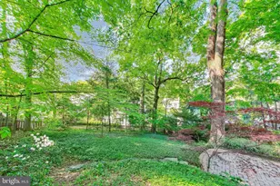 4118 Woodbine St, Chevy Chase, MD 20815 - Photo 71