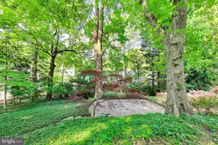 4118 Woodbine St, Chevy Chase, MD 20815 - Photo 67