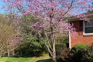 1421 Morningside Dr, Silver Spring, MD 20904 - Photo 25