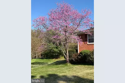 1421 Morningside Drive, Silver Spring, MD 20904 - Photo 3