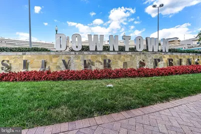 1900 Lyttonsville Road #216, Silver Spring, MD 20910 - Photo 33