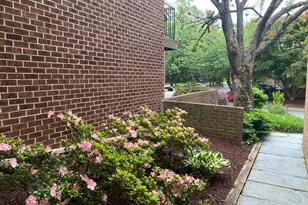20 Valerian Ct, Rockville, MD 20852 - Photo 3