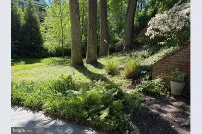 3512 Woodbine Street, Chevy Chase, MD 20815 - Photo 5