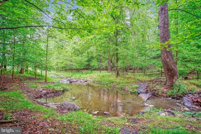 9437 Reach Road, Potomac, MD 20854 - Photo 57