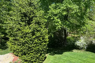 6907 Wilson Ln, Bethesda, MD 20817 - Photo 49