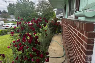 4301 Independence St, Rockville, MD 20853 - Photo 27