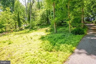 401 Willington Dr, Silver Spring, MD 20904 - Photo 45