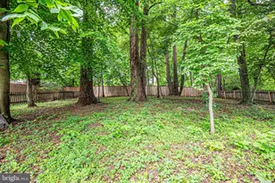 3901 Spruell Dr, Kensington, MD 20895 - Photo 37