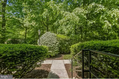 9890 Hollow Glen Place #2540, Silver Spring, MD 20910 - Photo 21