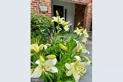 9900 Fernwood Road, Bethesda, MD 20817 - Photo 35