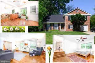 12008 Old Bridge Rd, North Bethesda, MD 20852 - Photo 1